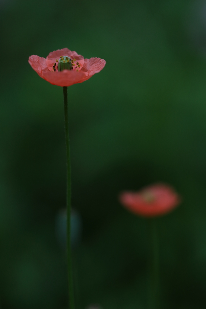 静