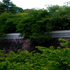 金沢城・石垣となまこ壁