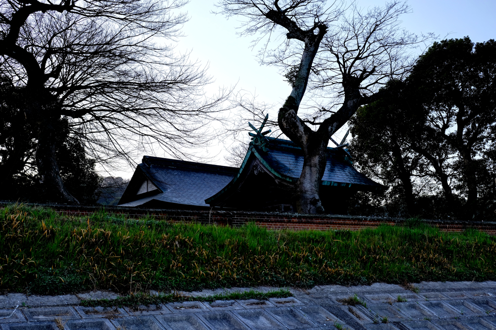 鎮守の社と木々