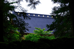 神社の大屋根