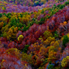 蔵王・紅葉・2
