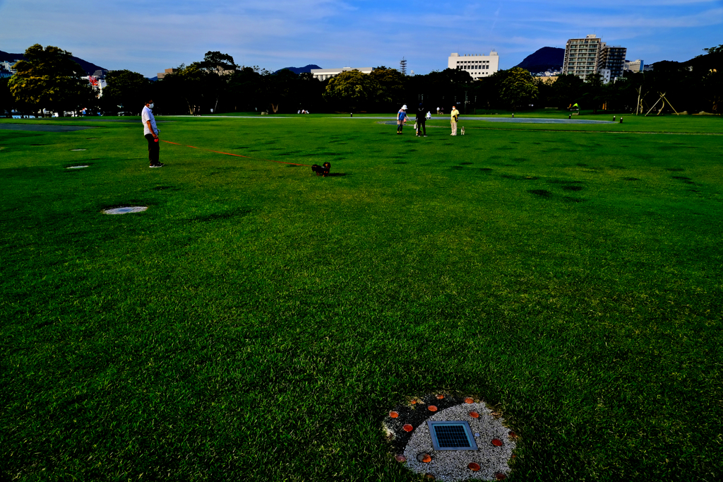 犬の散歩・長崎水辺の森公園
