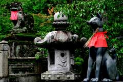 狛犬と狐