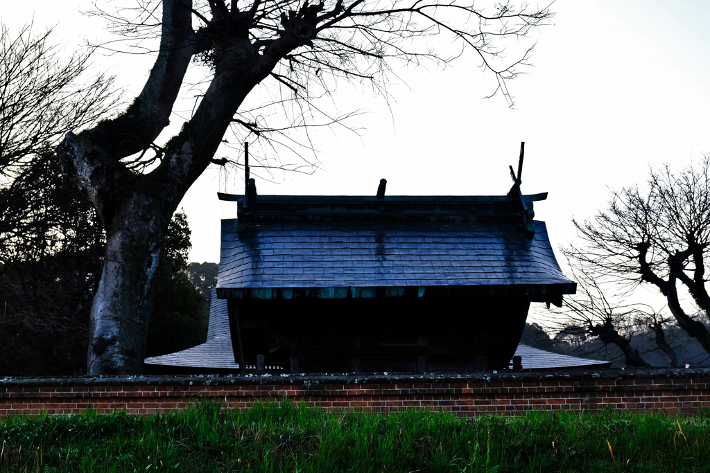 鎮守の社の美しい屋根