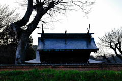 鎮守の社の美しい屋根