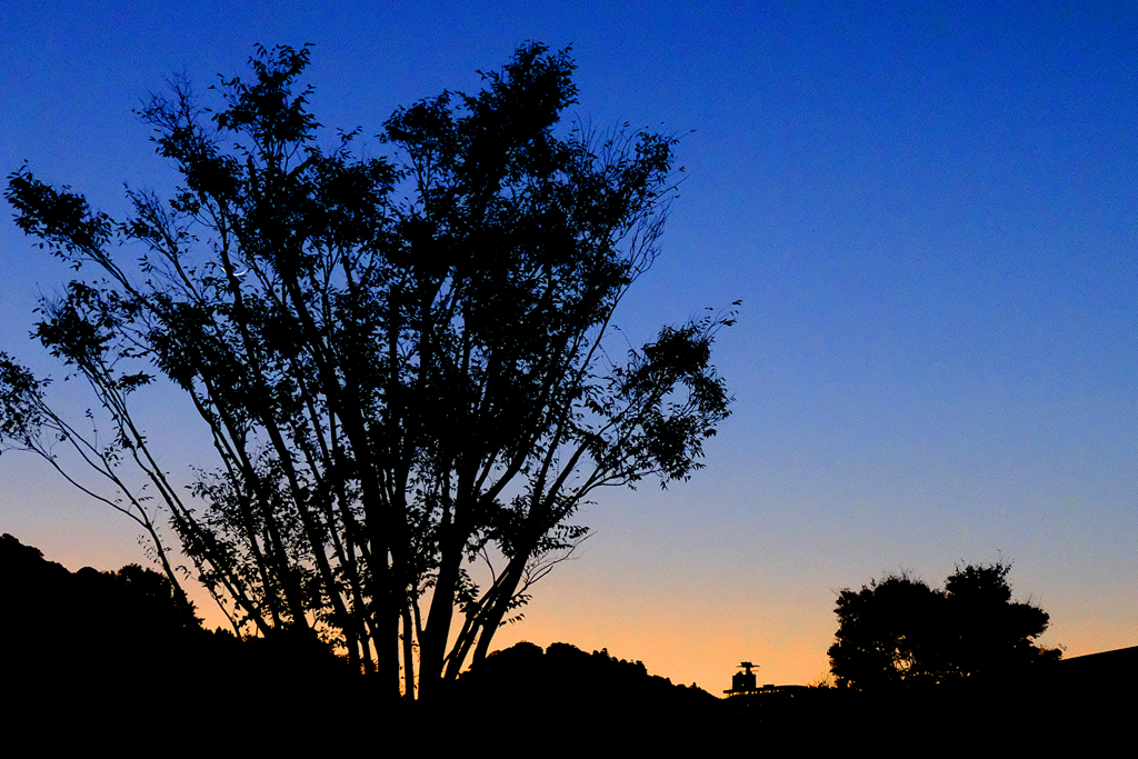 サービスエリアの曙