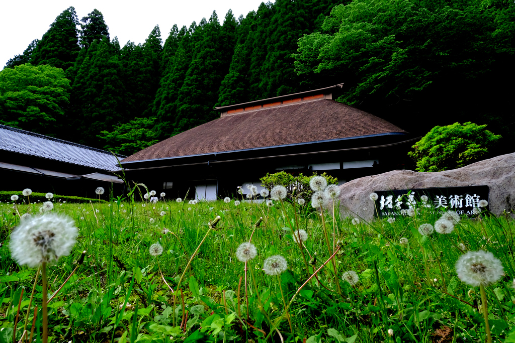 坂本善三美術館