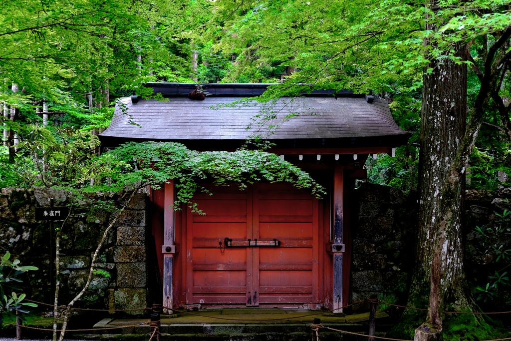 朱雀門・三千院