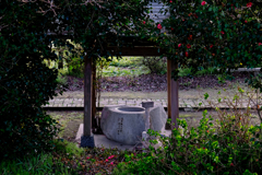 小さな社の手水鉢