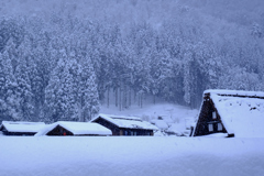 凍える里山