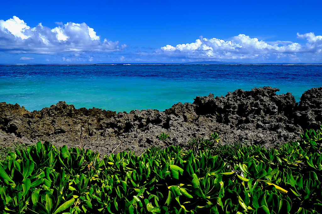 空・海・岩・葉