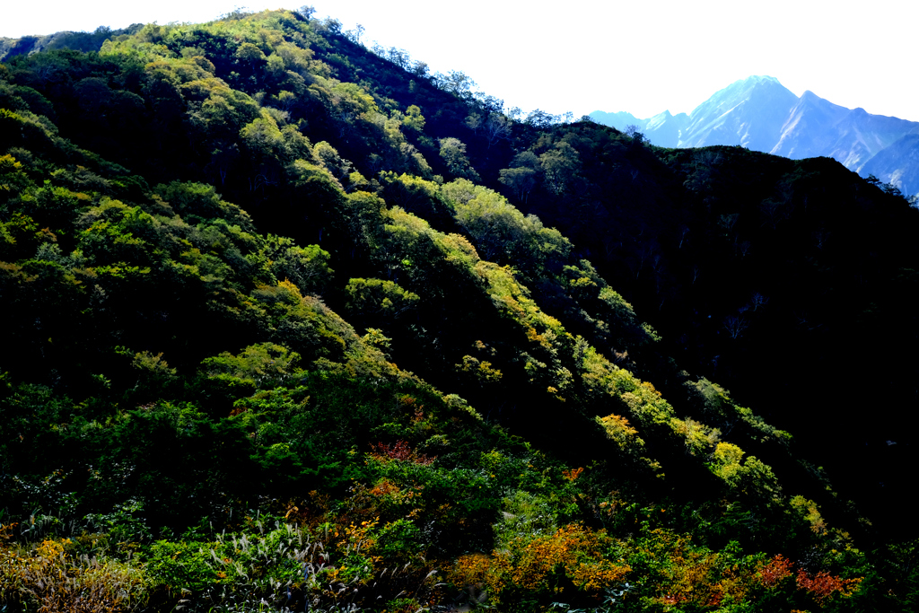 秋の山肌