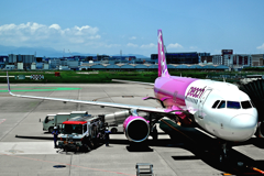 ピーチエアライン・夏