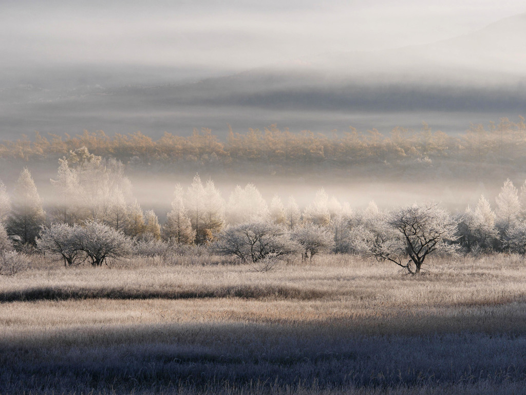 0022 P1290015-2-2