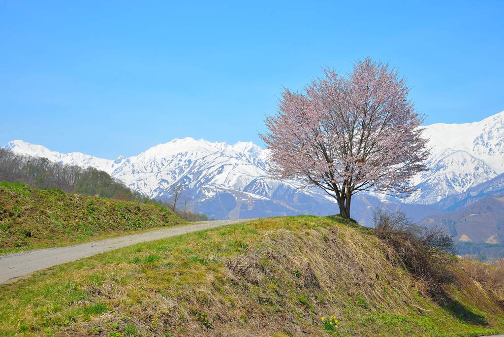 002 DSC_7873