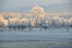 0028 DSC_7434