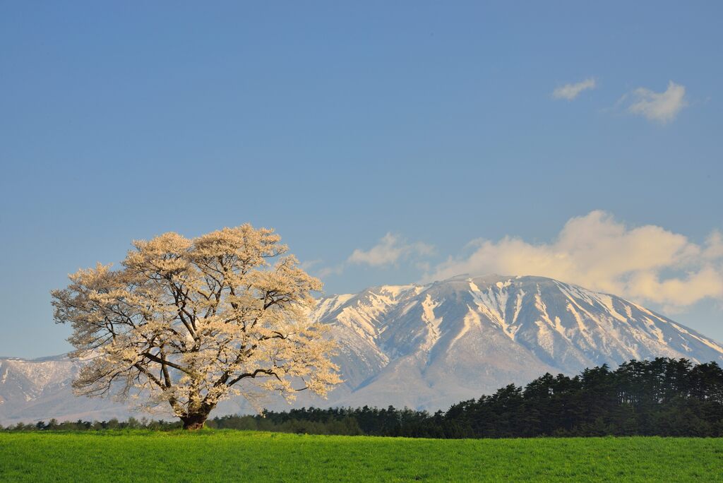 003 DSC_8888-2s5