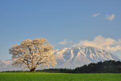 003 DSC_8888-2s5