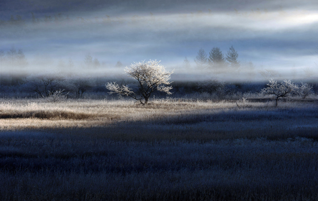 0021 P1280982-2-2-2