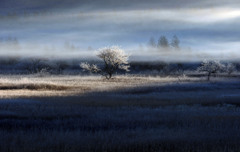 0021 P1280982-2-2-2