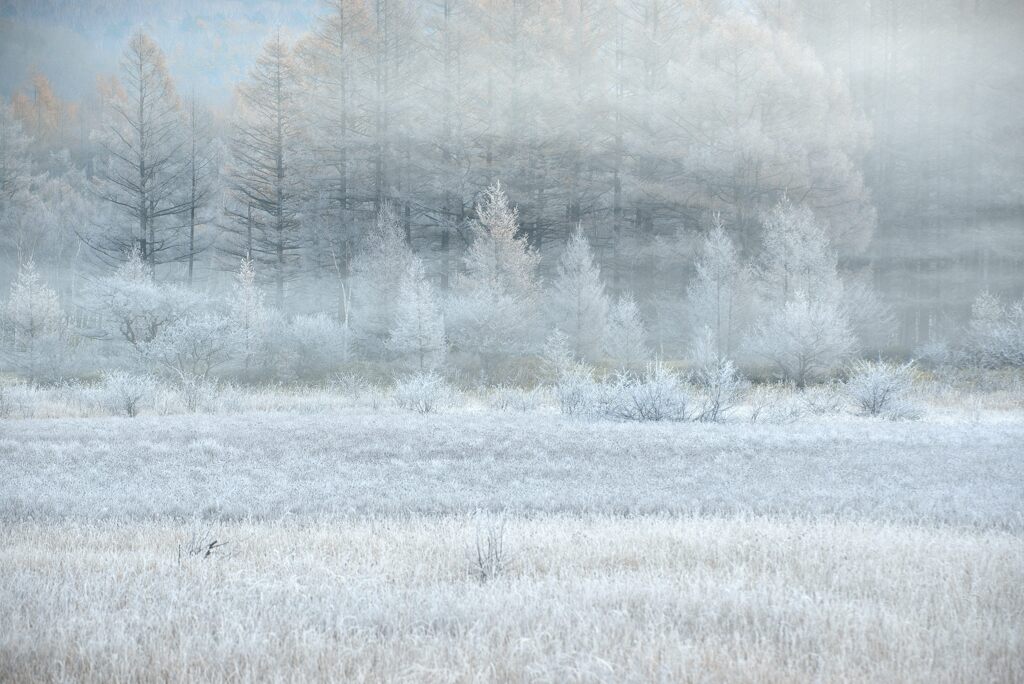 0023 DSC_6296