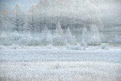 0023 DSC_6296