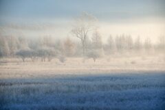 0026 DSC_6406