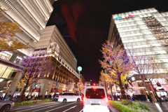 御堂筋イルミネーション