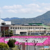京丹後市立弥栄小学校