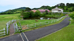 碇高原牧場③