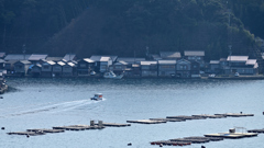 伊根湾