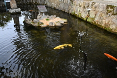 大宮賣神社　水神さん