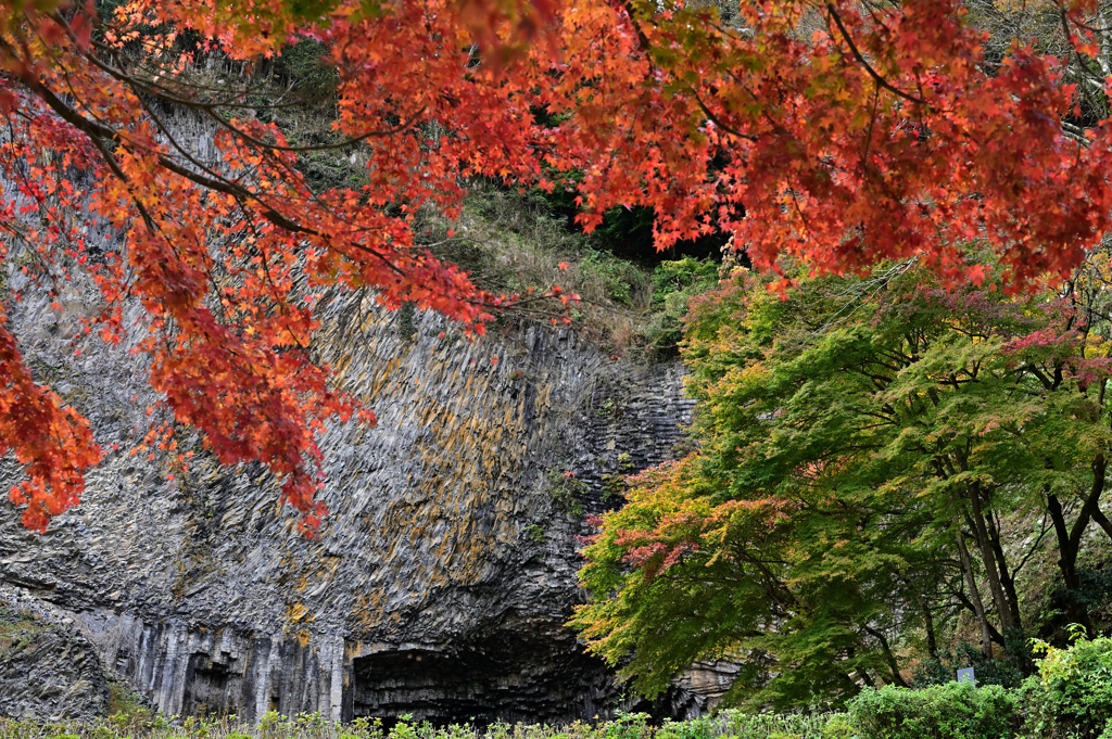 玄武洞公園の紅葉