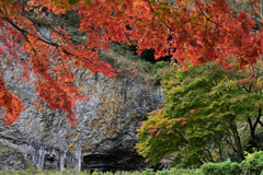 玄武洞公園の紅葉