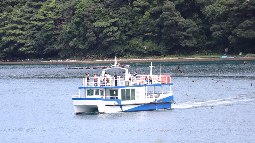 伊根湾めぐり遊覧船①