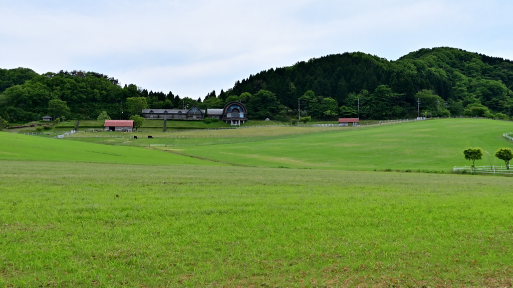 碇高原牧場①