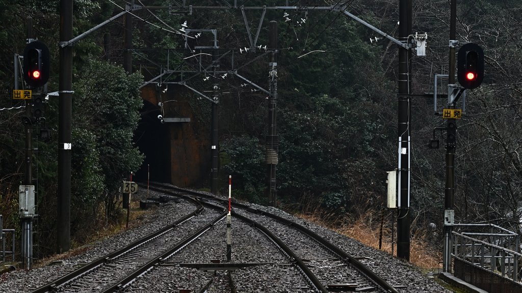 分岐からトンネルへ