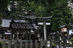 雨の神社