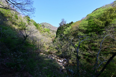 渓谷