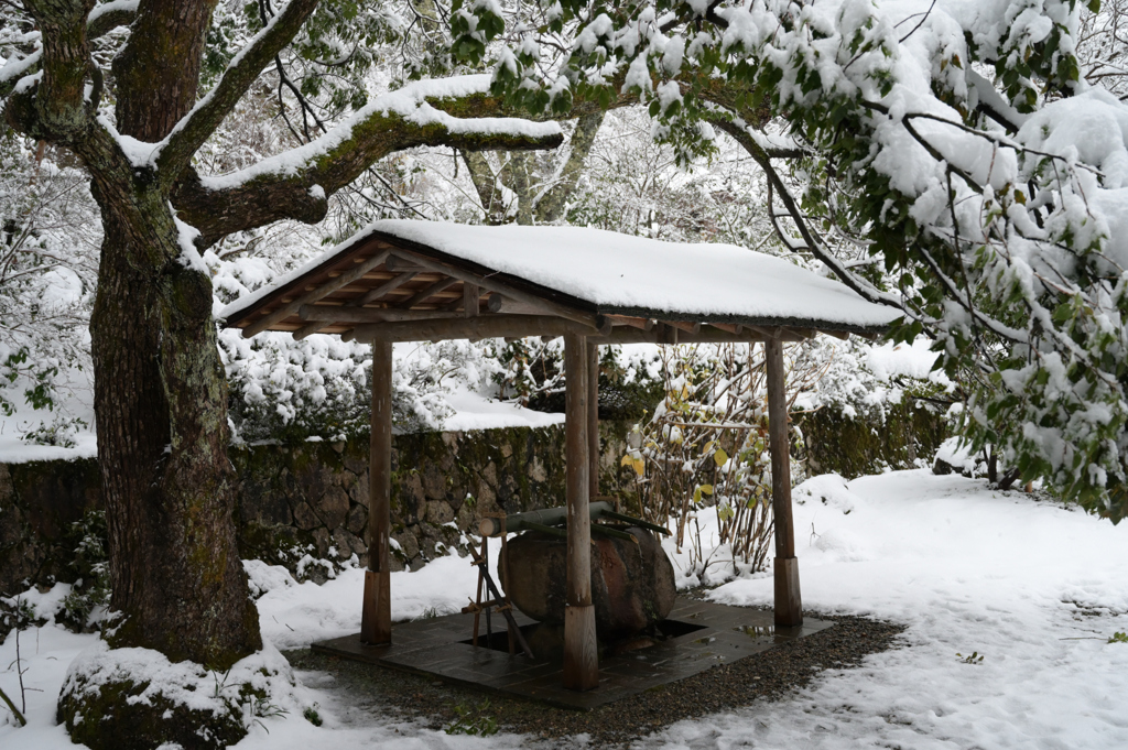 雪の如意寺　手水舎