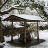 雪の如意寺　手水舎