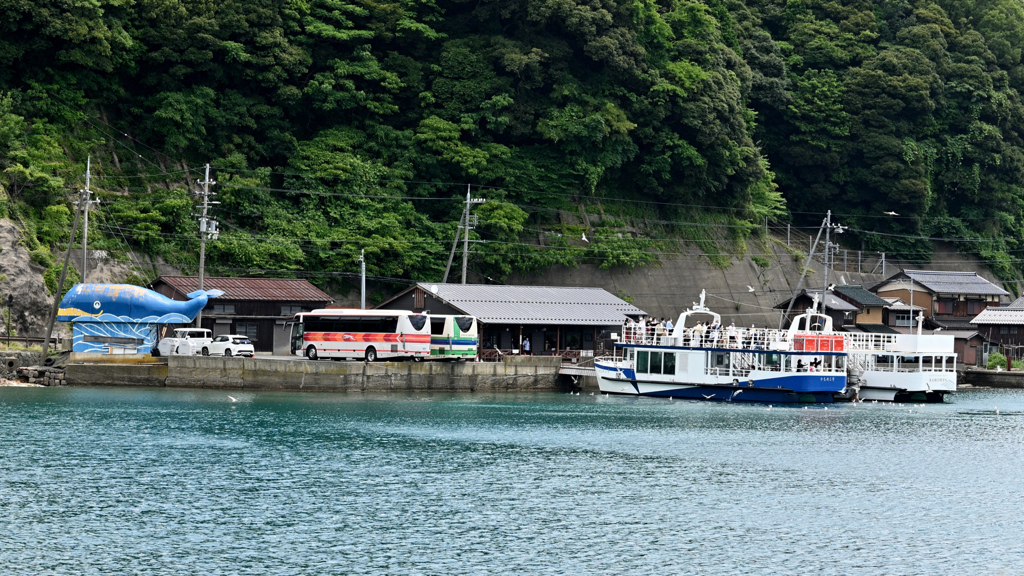 賑わいが戻ってきた観光船①