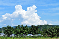 夏雲