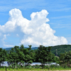 夏雲