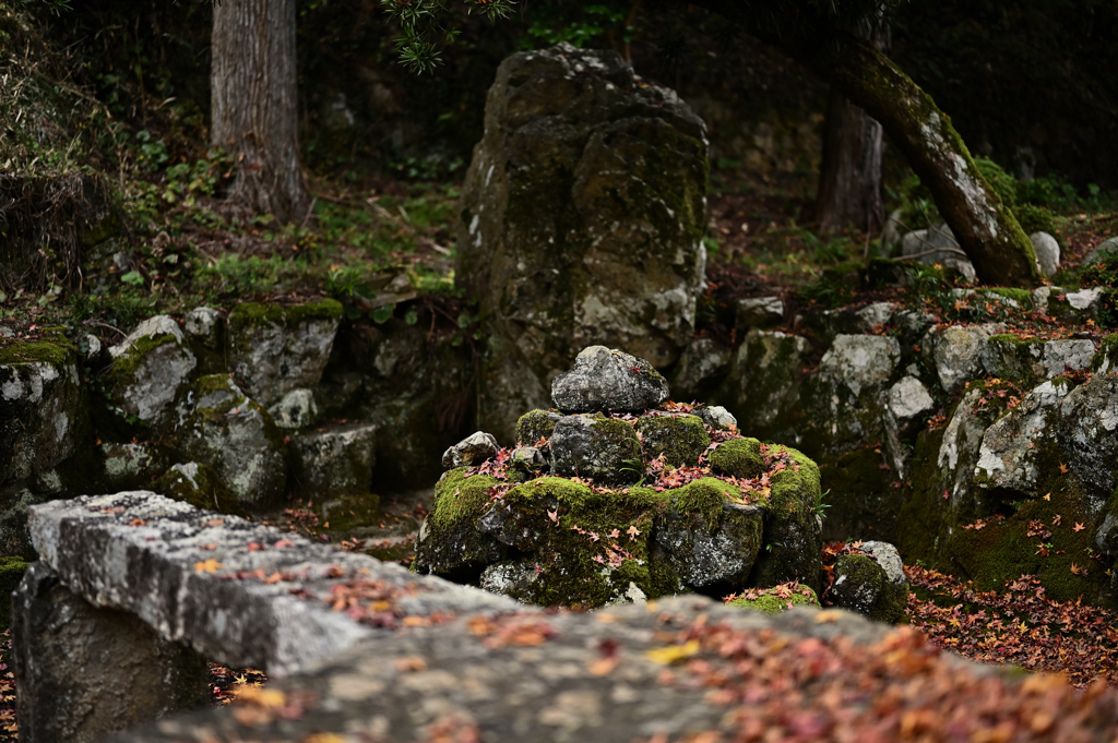 和江神社の紅葉②