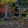 乙女神社の紅葉①