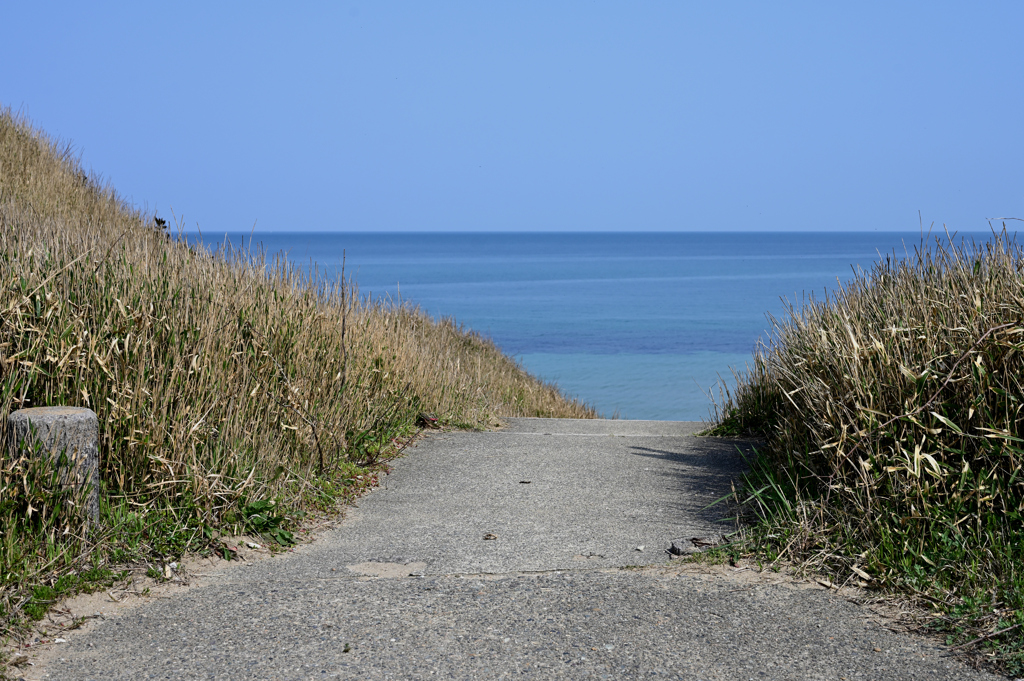 海へ向かう