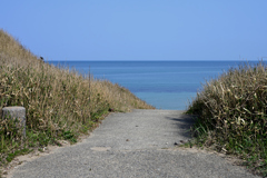海へ向かう