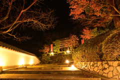 如意寺ライトアップ　参道