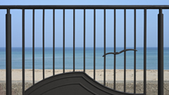 フェンス越しの海